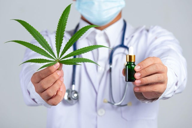 Doctor with cannabis flower and oil