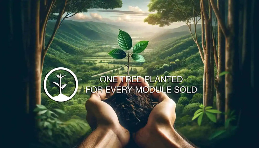 Vitae Glass one tree planted