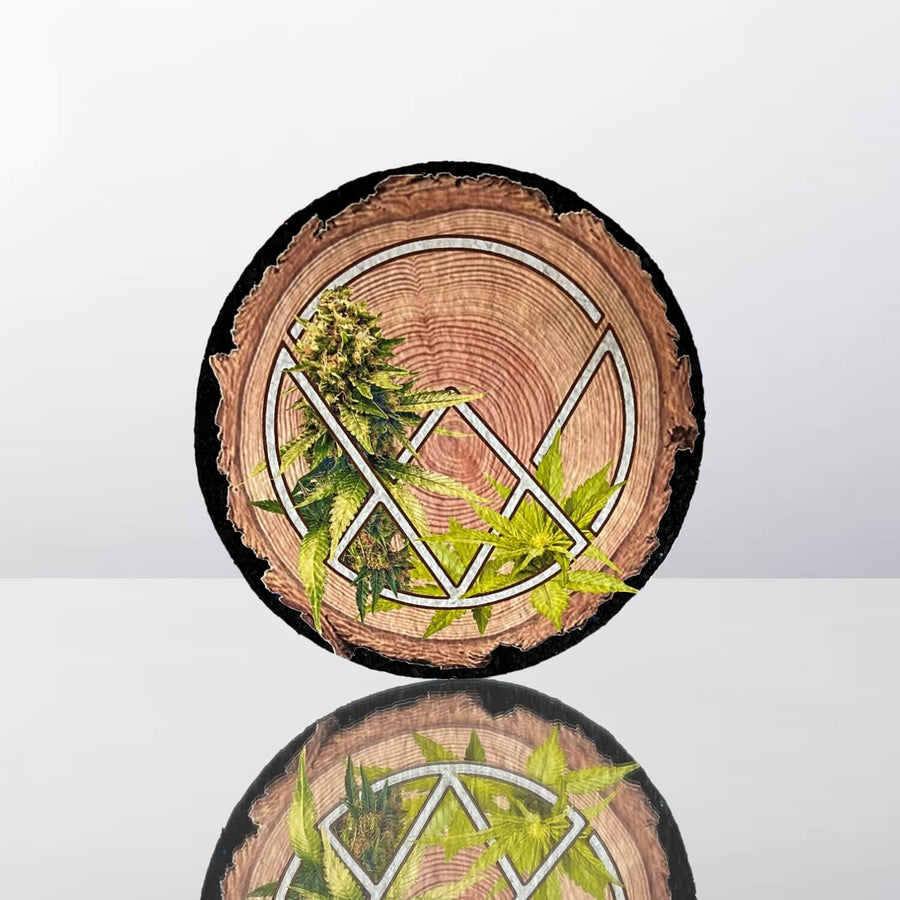 Alpha + Mini Perc Combo ($467.97 Value) - VITAE Glass